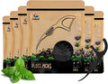 Plant Based Dental Floss Picks (300 Count) - Freshlock EcoPouch, Plant Based, Vegan, Eco Friendly, Sustainable Dental Flossers - Twin Floss (Charcoal)