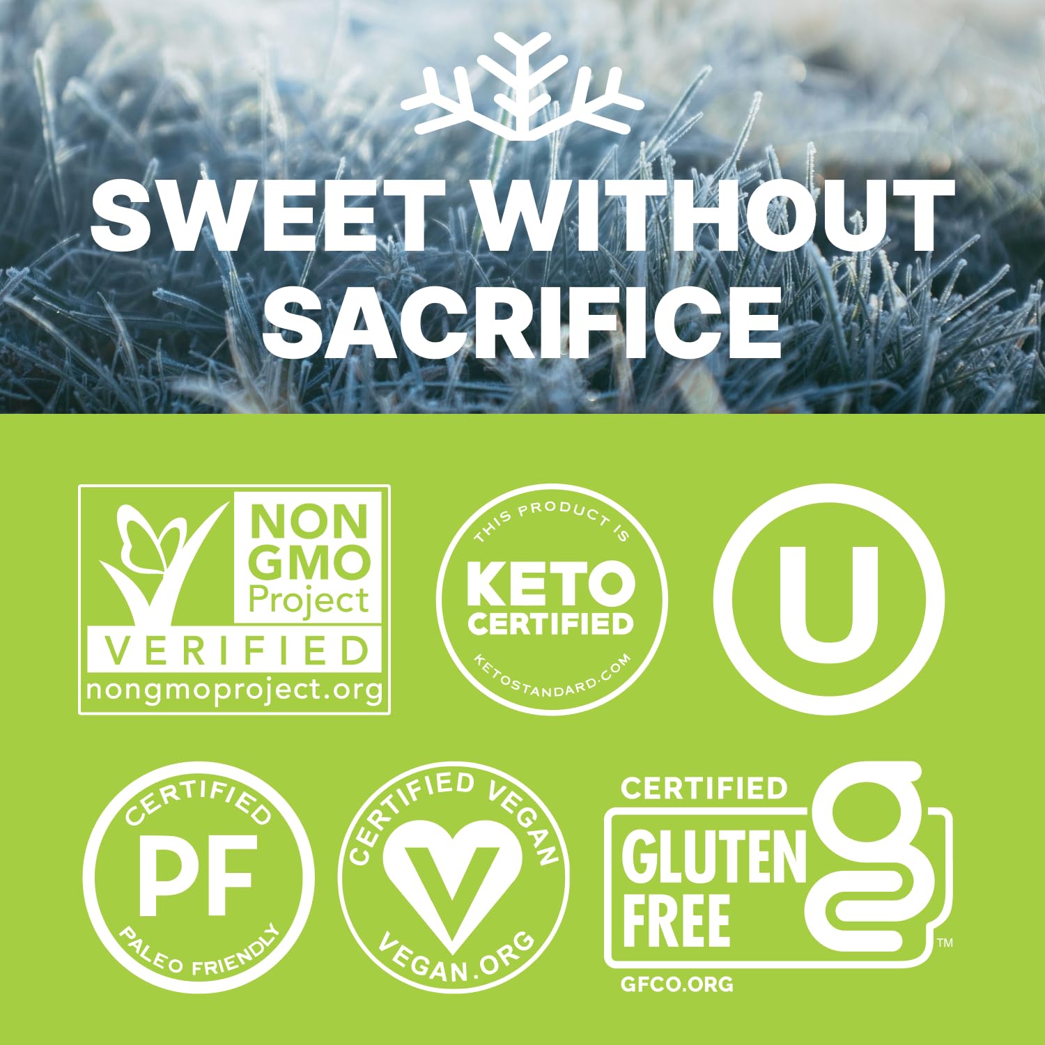 Spearmint KETO Xylitol Candy Chips (6-Pack) - SNØ 1.5oz Tin - Sugar-Free Candy With Only 2 Ingredients | Low Carbs, Diabetic-Friendly, Non-GMO, Vegan, GF & Kosher | Purest candy in the world!