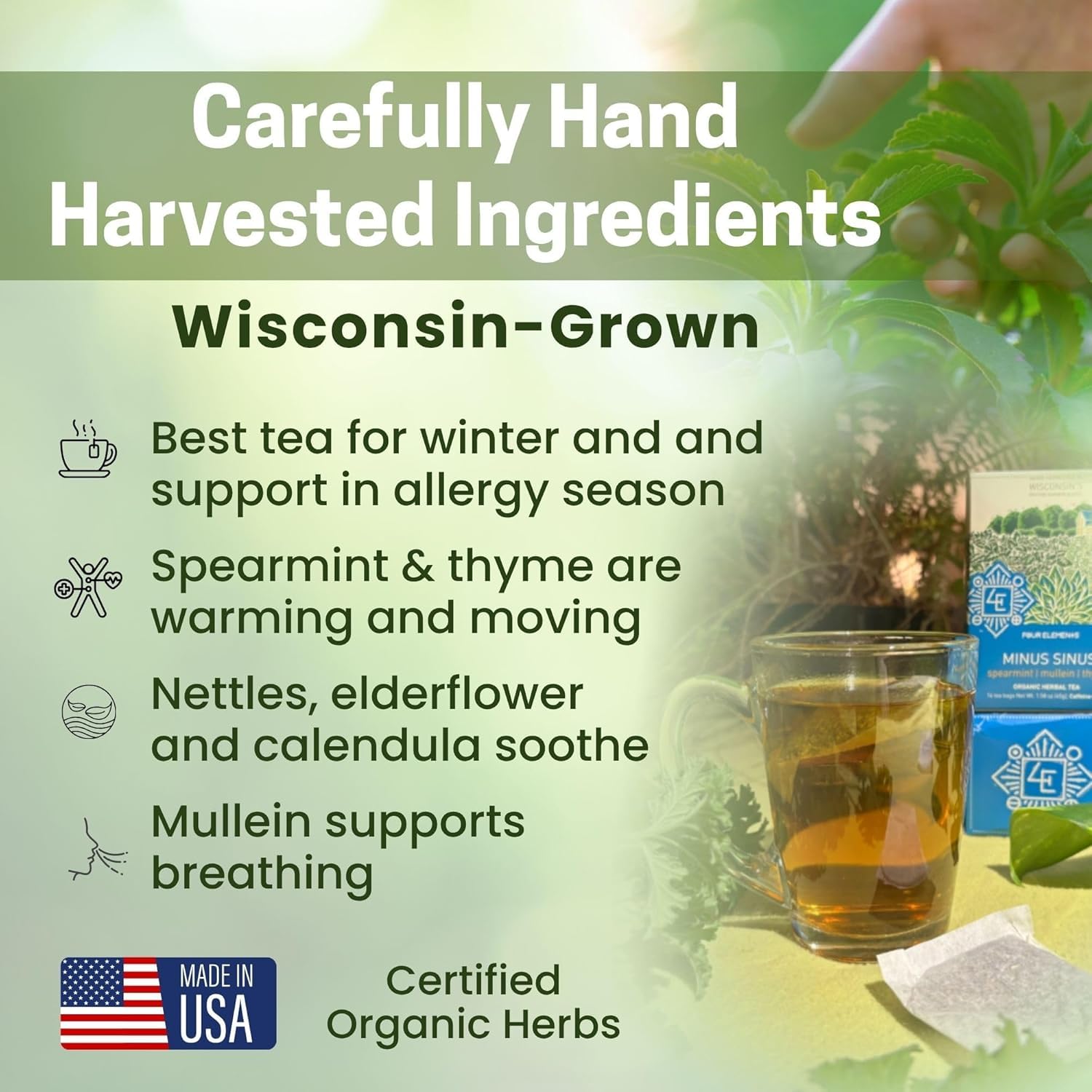 Four Elements Minus Sinus Tea 2 x [16 Teabags, 1.2 oz] | Organic Spearmint Tea with Mullein & Thyme | Caffeine Free Herbal Blend with Refreshing Aroma & Comforting Flavor | Enjoy Hot or Iced Latte