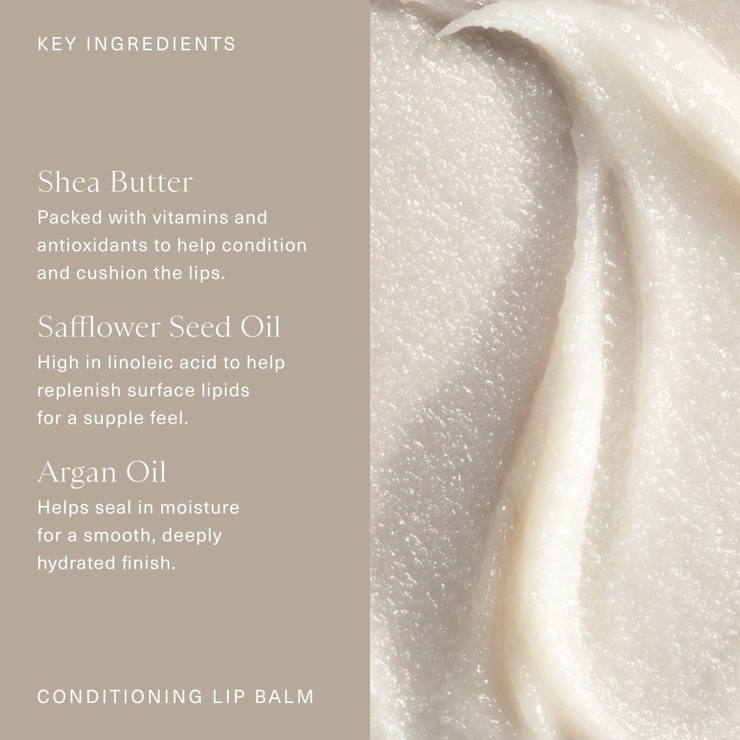 Oak Essentials Conditioning Lip Balm | Nourishing Antioxidant Lip Care with Shea Butter & Botanical Oils | Clean Moisturizing Balm for Dry, Chapped Lips, 3.6g