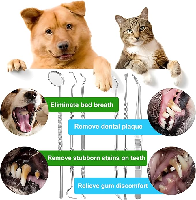 Teeth Cleaner Tool Kit Stainless Steel Plaque Tartar Remover Set of 6 with Metal Case, Tweezers, Oral Mirror, Teeth Cleaner, Probe, Stain Remover