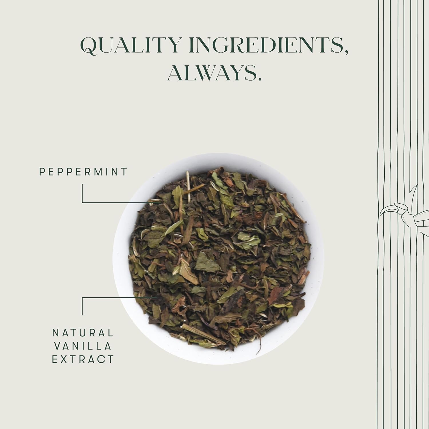 Luxmi Estates - Organic Peppermint Tea with Natural Vanilla Extract - Loose Leaf - 25g (12 Cups) Tea Bags, Limited Fall Tea With the Natural Sweetness of Vanilla, Perppermint Aids Digestion