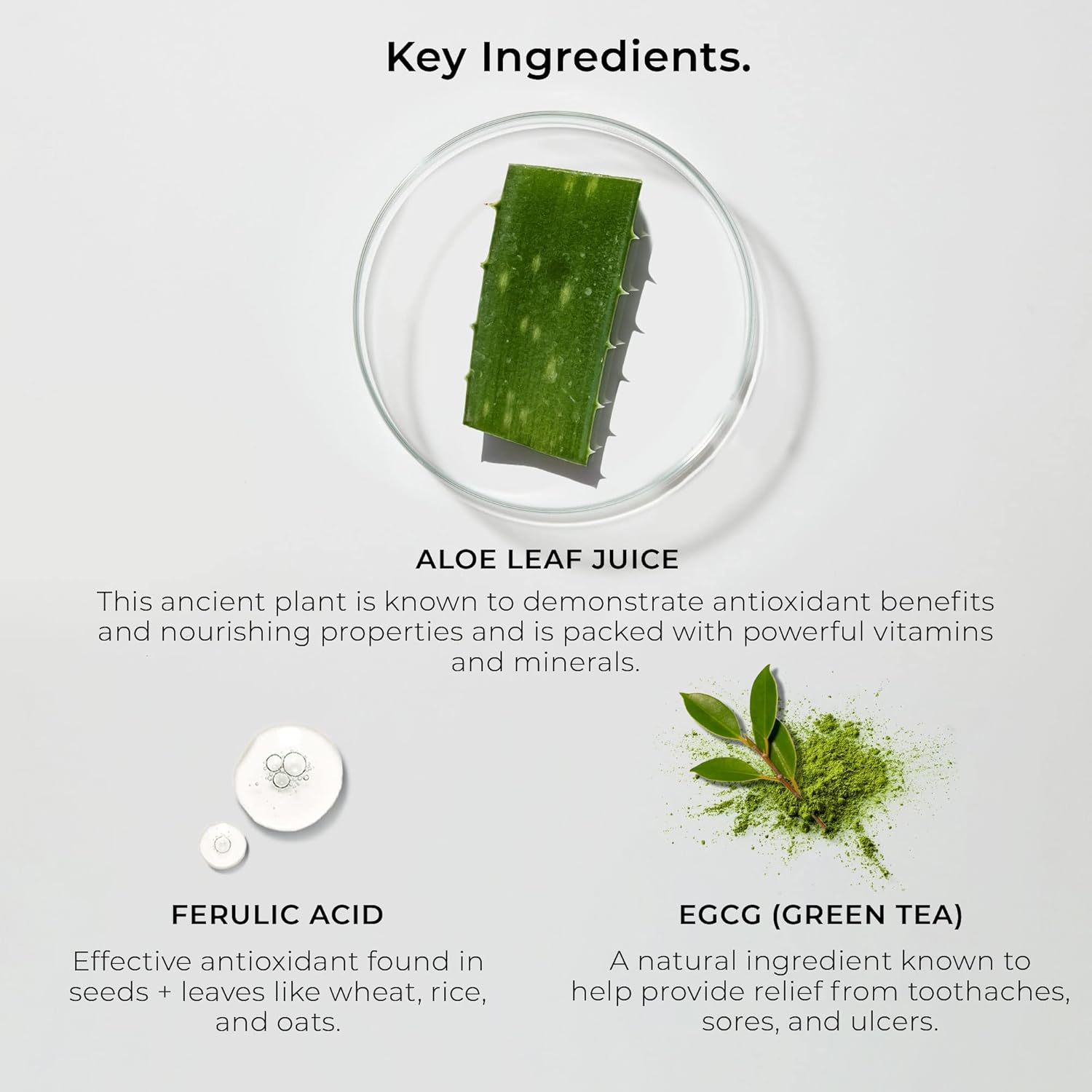 PerioSciences Natural Mouthwash Rinse Oral Care Pre Brush - Mint Anti Cavity Dry Mouth Plaque Remover for Healthier Gum Tissue & Teeth Enamel Protection - AO Dentist Recommended Clean - Pack of 2