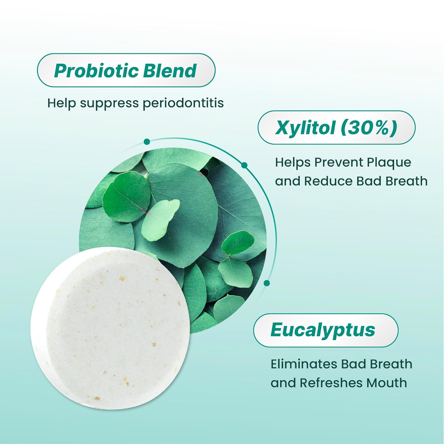 K-Nutra Dentifresh Mint Xylitol Tabs – Oral Probiotics for Bad Breath, Dry Mouth & Fresh Breath, 7 Billion CFU, Sugar-Free, GMO-Free, Gluten-Free, Natural Mint Flavor, 30 Tablets (Improved Formula)