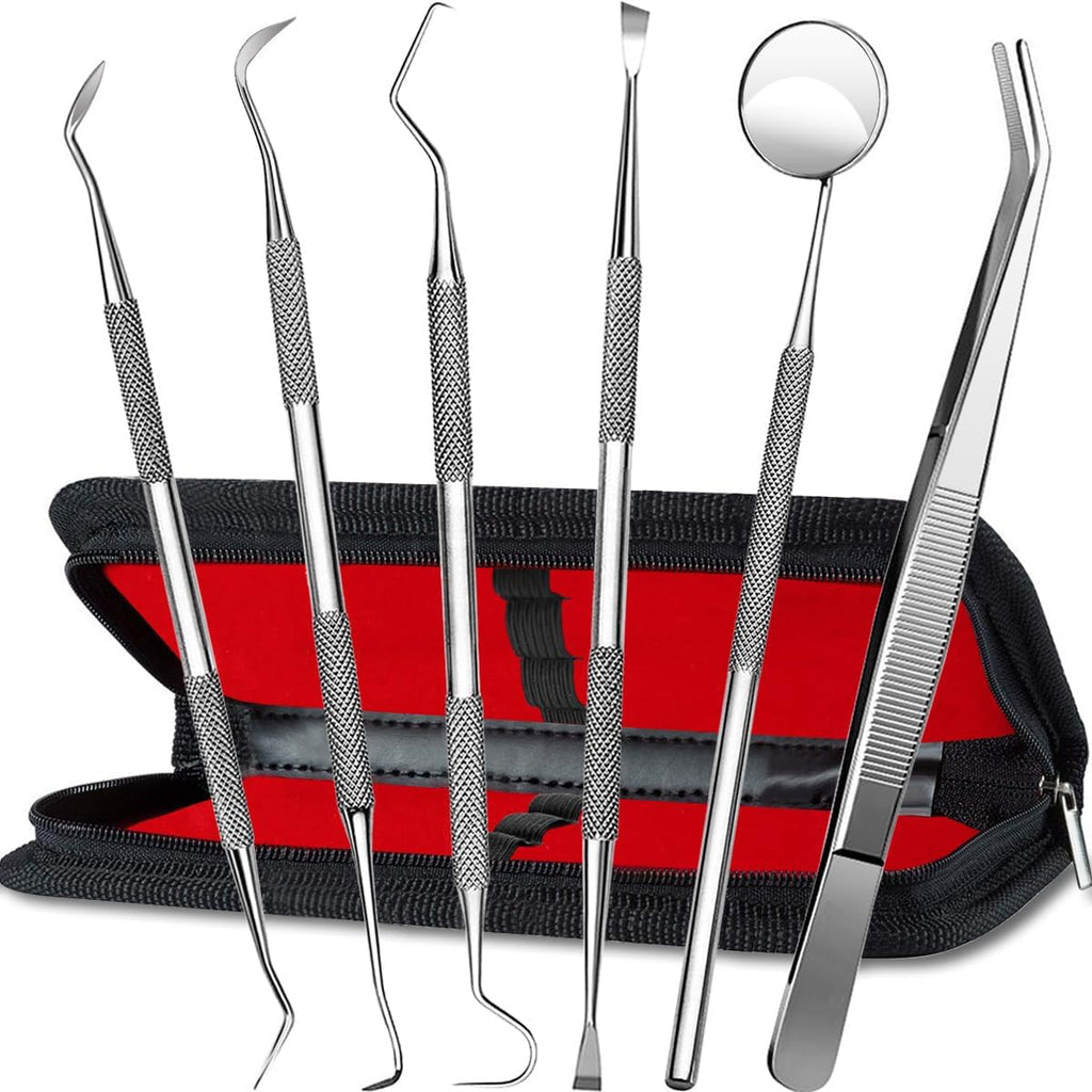 Stainless Steel Dental Kit - 6 Pack Dental Tools with Tooth Mirror, Dental Hygiene Kit for Adults, Kids, Dogs with Mirror, Picks, Travel Case (S)