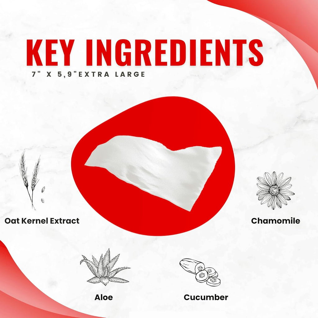 Flushable Wipes - Certified Flushable Wipes - Travel Friendly, Individually Wrapped, Plant Based Fibers, Biodegradable Unscented Wet Wipes, Infused with Soothing Aloe and Cucumber - 30 Count