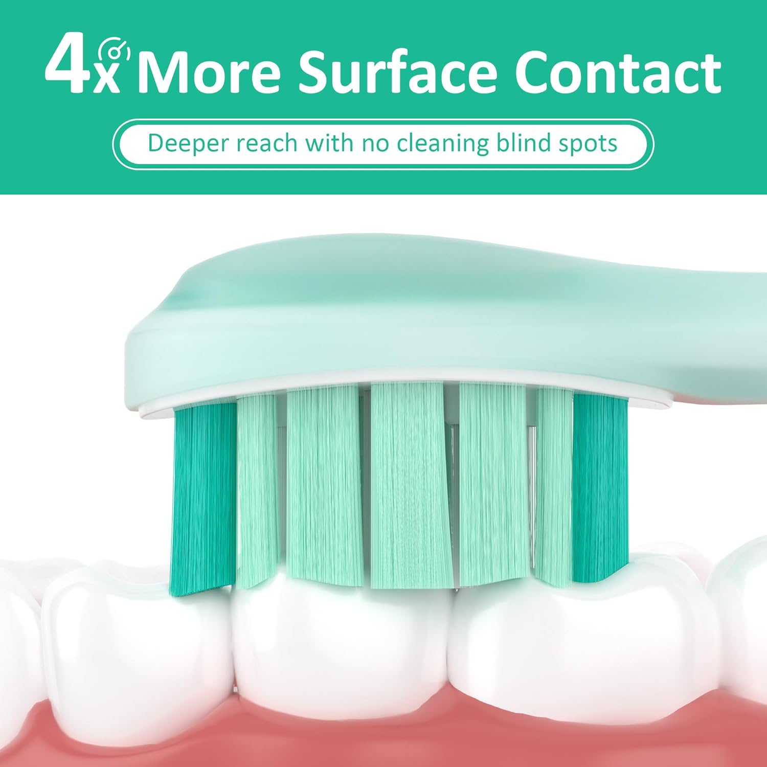 Replacement Toothbrush Heads Compatible with Philips Sonicare Electric Brush and More Click-on Handles 8 Pack White