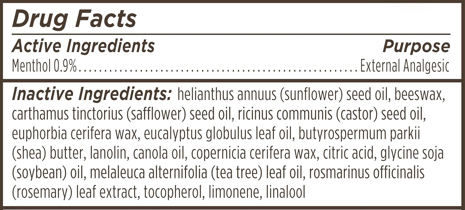 Burt's Bees Lip Balm Stocking Stuffers, Moisturizing Lip Care Christmas Gifts, for Dry Chapped Lips, Medicated with Menthol & Eucalyptus, Natural Origin Lip Care (4-Pack)