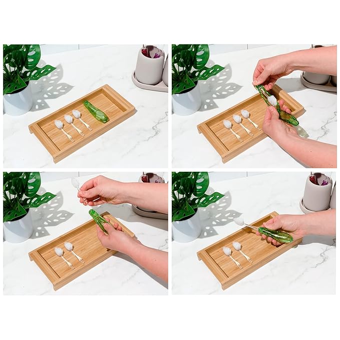 RADIUS Tour Travel Brush & Case with Replaceable Brush Head ADA Accepted Toothbrush Improve Gum Health - Assorted Colors - Pack of 6