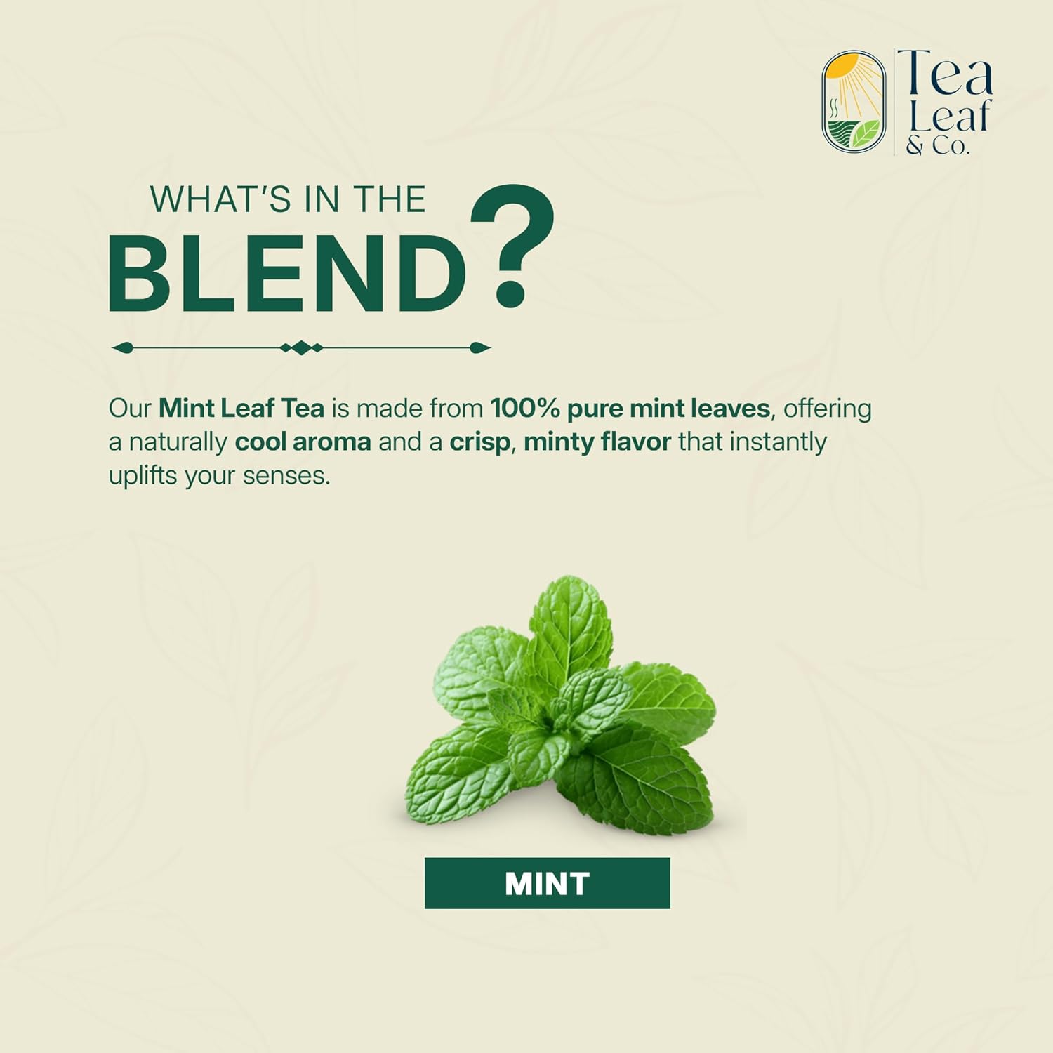 Tealeaf & Co. Pure Mint Herbal Tea Bags Blended with Fresh Herbs - Spearmint & Peppermint Tea - Contains Low Caffeine - Gluten Free - 100 Teabags (7.055oz/200gm)