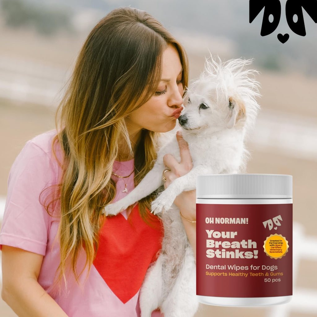 OH NORMAN! Dog Dental Wipes - Vet-Approved Pet Dental Finger Wipes for Oral Hygiene & Fresh Breath - Alternative to Finger Toothbrush for Dogs - No Fuss Dog Cleaning Supplies for Daily Use - 50 pcs