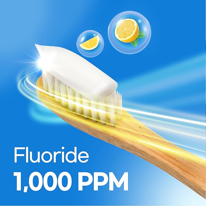 Plaque Care Toothpaste (Lemon Mint) – Natural Fluoride Korean Toothpaste for Plaque Removal, Tartar Control, Strengthens Enamel, Paraben & SLS Free (3.52fl oz / 100g)