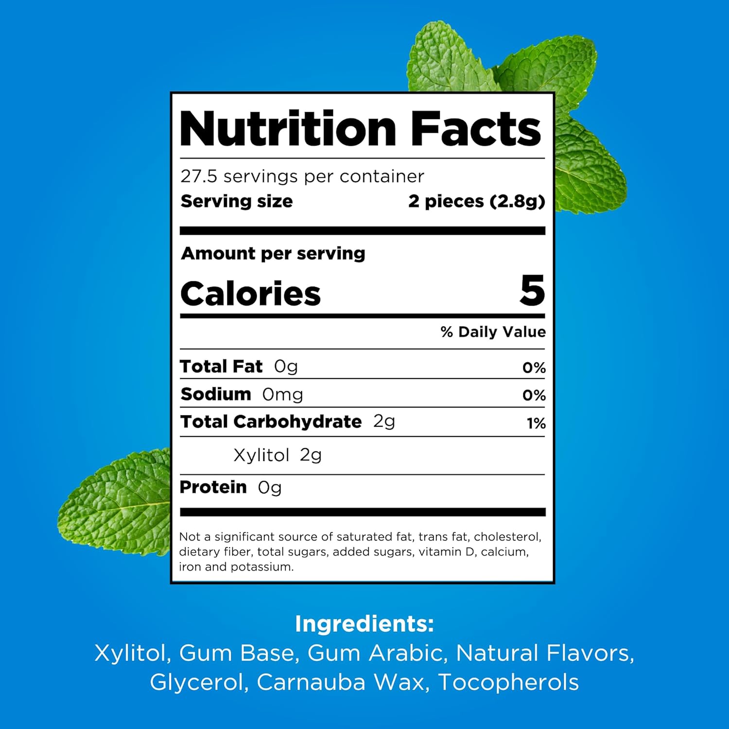 PUR Gum | Aspartame Free Chewing Gum | 100% Xylitol | Natural Peppermint Flavored Gum, 55 Pieces (Pack of 12)