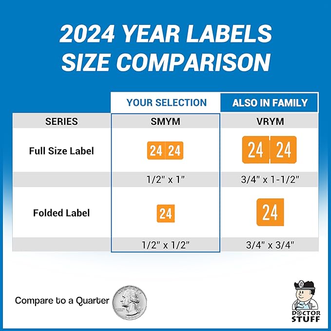 2024 Year Stickers, Doctor Stuff 2024 Chart Stickers, Orange GBS/VRE Style, USA Made Year Labels for End Tab File Folders, 500 Labels/Roll in a Dispenser Box, 3/4" x 1-1/2"