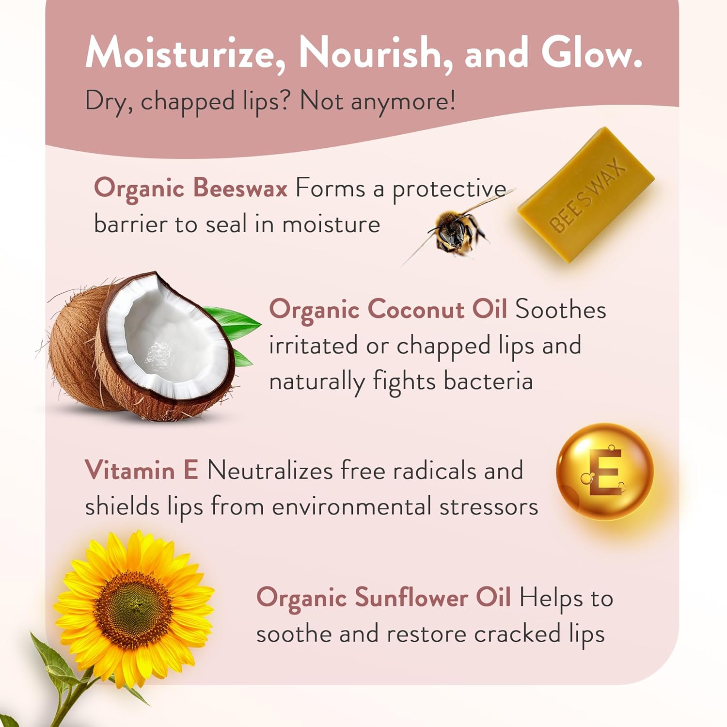 Moroccan Magic Organic Lip Balm & SPF15: 12 Piece Variety Pack Gift Set | Organic Argan and Essential Oils | Smooth | Natural | Non-Toxic | Cruelty Free | 12 Pack