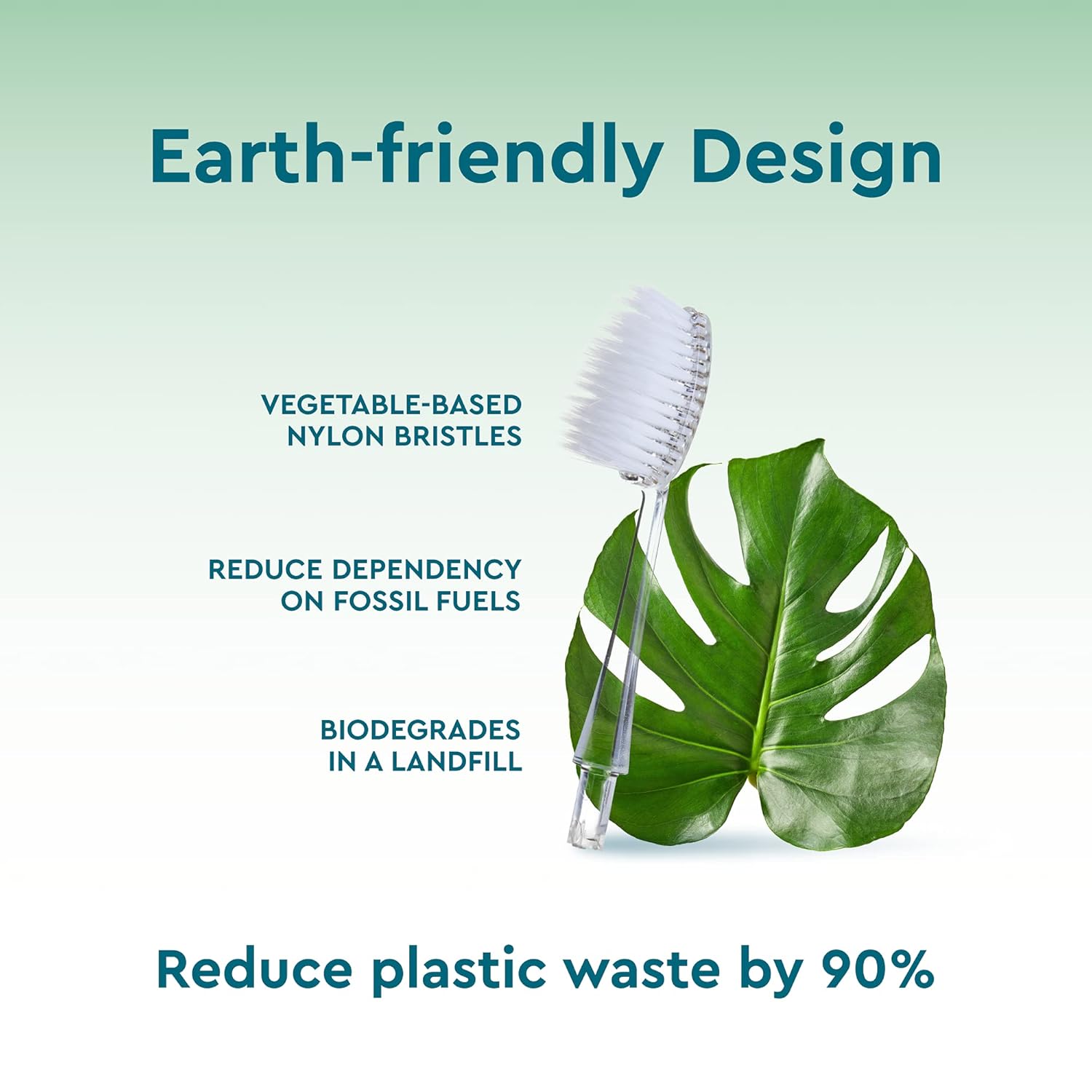 RADIUS Toothbrush Replacement Brush Heads 2-Count Improve Gum Health & Reduce Gum Issues - Super Soft - Pack of 1