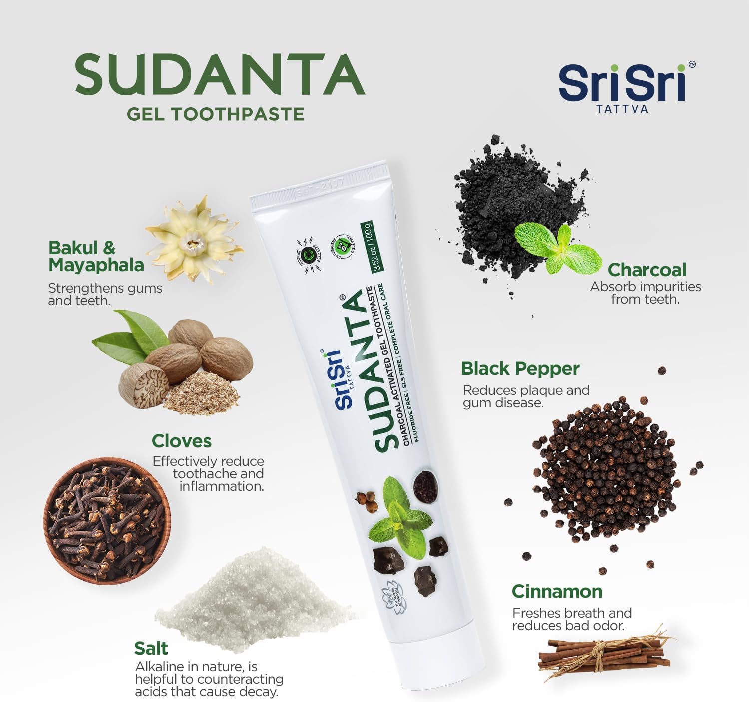 Sri Sri Tattva Sudanta Charcoal Toothpaste Gel – SLS, Fluoride Free Herbal Toothpaste with Neem & Ayurvedic Herbs – Natural Teeth Whitening, Fresh Breath, Oral & Gum Health – 100g Tube (Pack of 1)