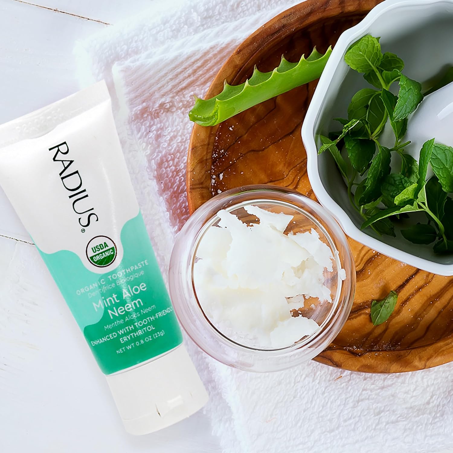 RADIUS USDA Organic Toothpaste 3oz Non Toxic Chemical-Free Gluten-Free Designed to Improve Gum Health & Prevent Cavity - Mint Aloe Neem - Pack of 2