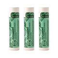 Crate 61 Lip Balm Eucamint – Plastic-Free Plant Pod® Tube – Made with USDA Organic Ingredients – Cooling Peppermint & Eucalyptus – Natural Lip Care for Dry, Chapped Lips – Safe for Men, Women & Kids