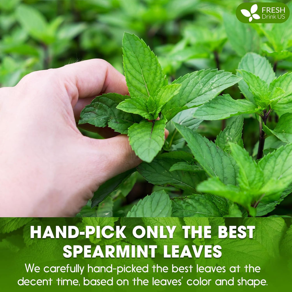 FreshDrinkUS, Premium Spearmint Leaf Powder 8oz – Pure Natural Mint Powder for Tea, Smoothies, Cooking, and Baking – Resealable Pouch