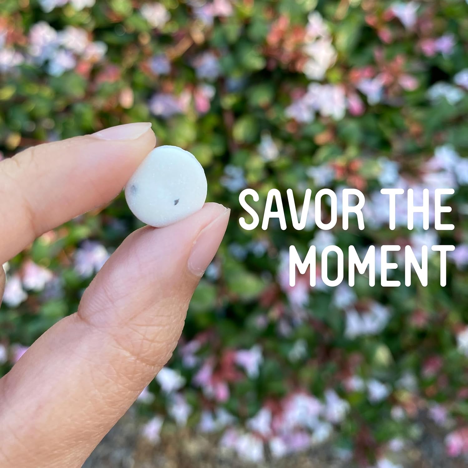 VerMints Organic Breath Mints GingerMint - Real Ginger Flavored Candies - Travel Size Tin - Non-GMO, Nut Free, Gluten Free, Vegan, Kosher & Organic Candy Mints - .63oz/18g (Pack of 12)