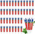60 Tubes Bulk Travel Size Mini Toothpaste, 0.176 oz Disposable Mint Flavor Pocket Teeth Paste Small Essential Toothpaste for Travel, Home/Hotel/Guests/Charity/Homeless/Camping Oral Care (Single Use)