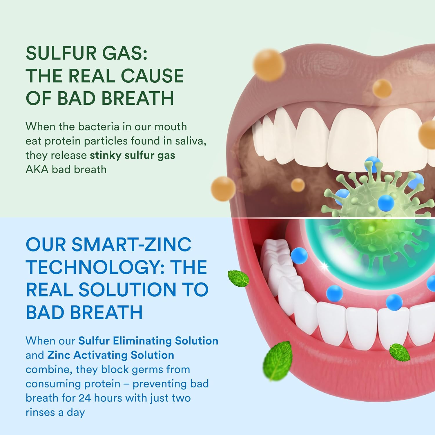 SmartMouth DDS Activated Clinical Mouthwash & Original Activated Mouthwash - Adult Mouthwash for Fresh Breath - Clean Mint Flavor (Clinical) & Fresh Mint Flavor (Original), 16 fl oz Each