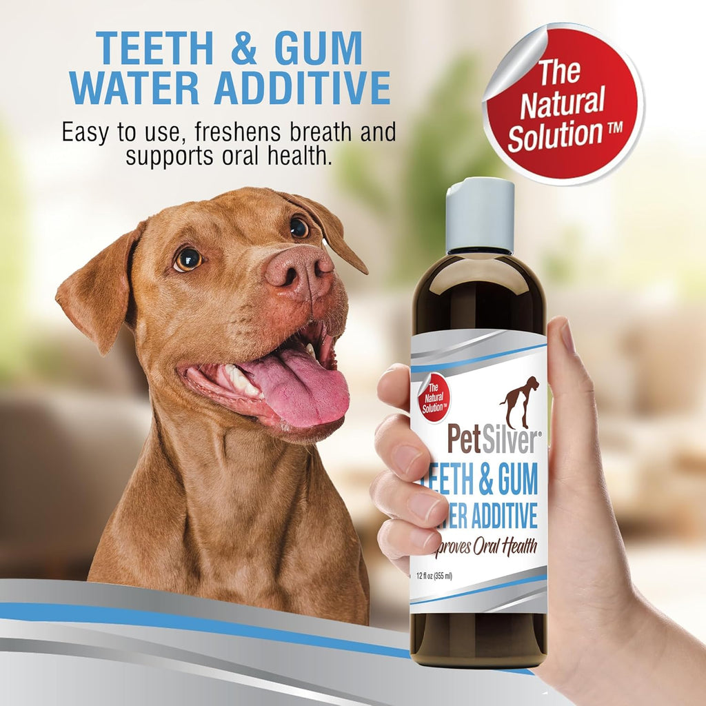 PetSilver Teeth & Gum Water Additive for Dental Care - Pet Breath Freshener - Targets Tartar, Plaque & Eliminates Bad Breath - Dog Oral Care & Cat Teeth Cleaning - No Brushing & Tasteless - 12 fl oz
