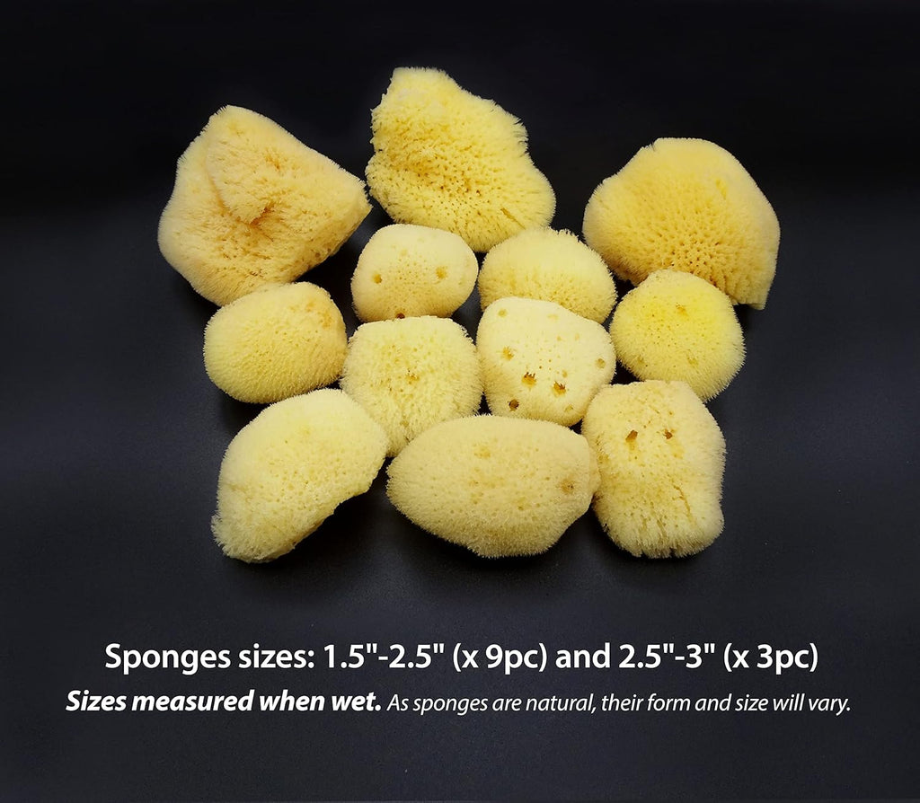 Natural Sea Silk Sponges 12pk: Size 9pc x1.5-2.5" 3pc x 2.5"-3", Like Cotton Balls, for Cosmetic Use, Makeup Application & Removal, Face & Eye Cleaning, with Luxury Gift Bag by Constantia Beauty®