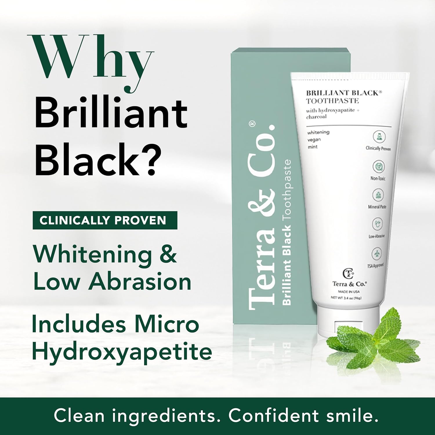 Terra & Co. Brilliant Black Hydroxyapatite Toothpaste for Whitening Teeth – USA-Made - Natural Remineralizing Toothpaste, Fluoride-Free, Vegan, SLS-Free, Low Abrasion – Mint, 3.4 oz