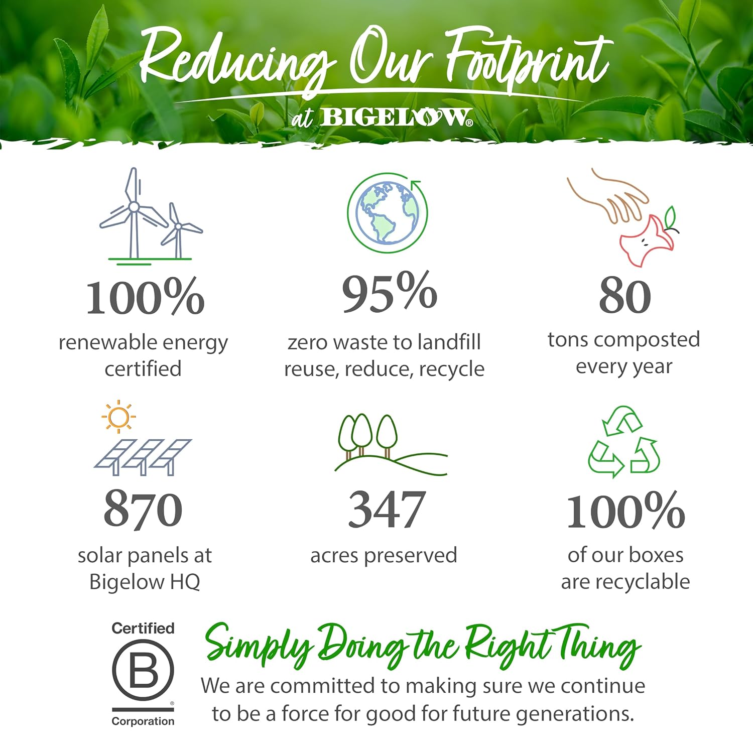 Bigelow Tea Mint Medley Herbal Tea, Caffeine Free Mint Tea with Spearmint and Peppermint, 20 Count Box (Pack of 6), 120 Total Tea Bags