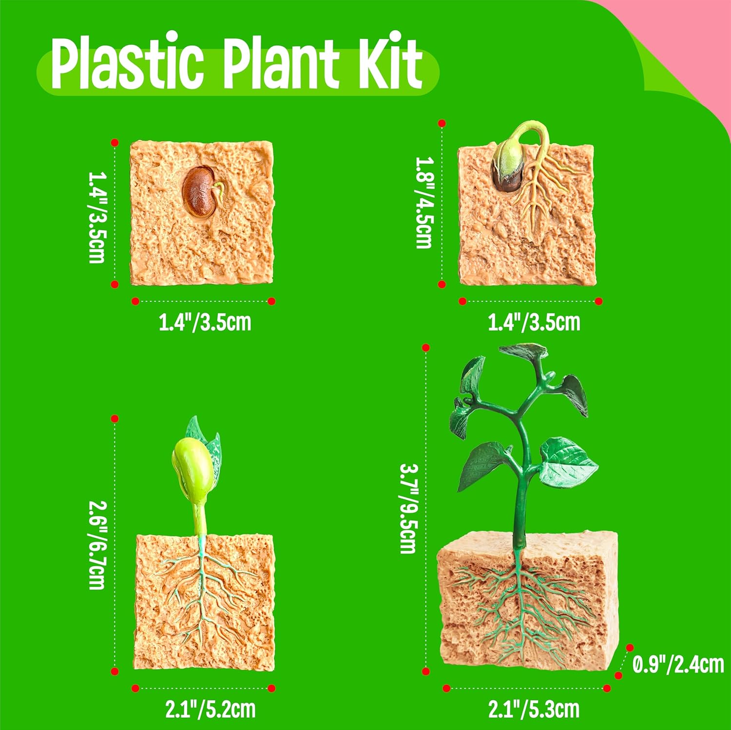 15 Plant Life Circle Flashcards with 4 Plastic Figurines-Seed to Plant, Plants Introduction Card Plants Growth Details for Nature Lovers & Adults, Montessori Toy for Kids