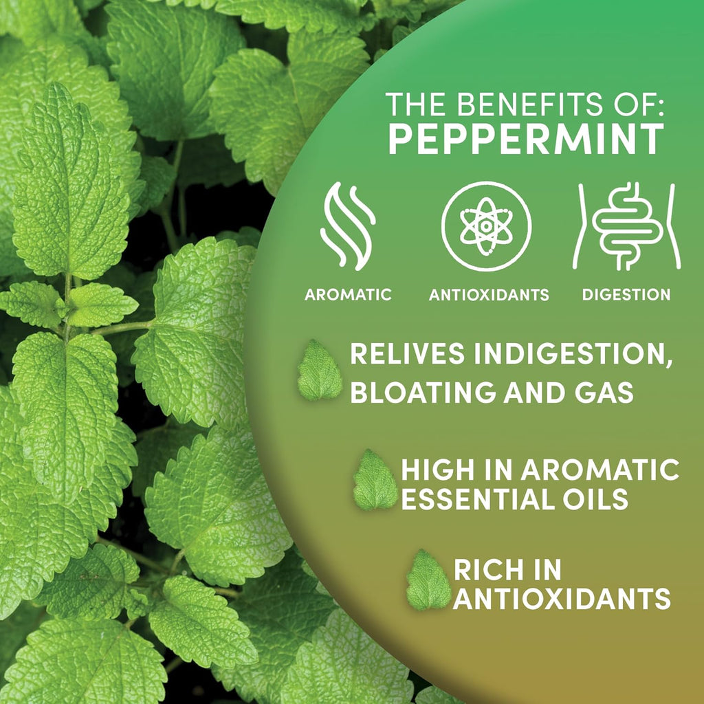 Worldwide Botanicals Organic Peppermint Loose Leaf Tea, 1 lb - Pacific Northwest Organic Cultivation, Highly Aromatic Digestive Tea, Antioxidant, Caffeine Free, 16 ounce