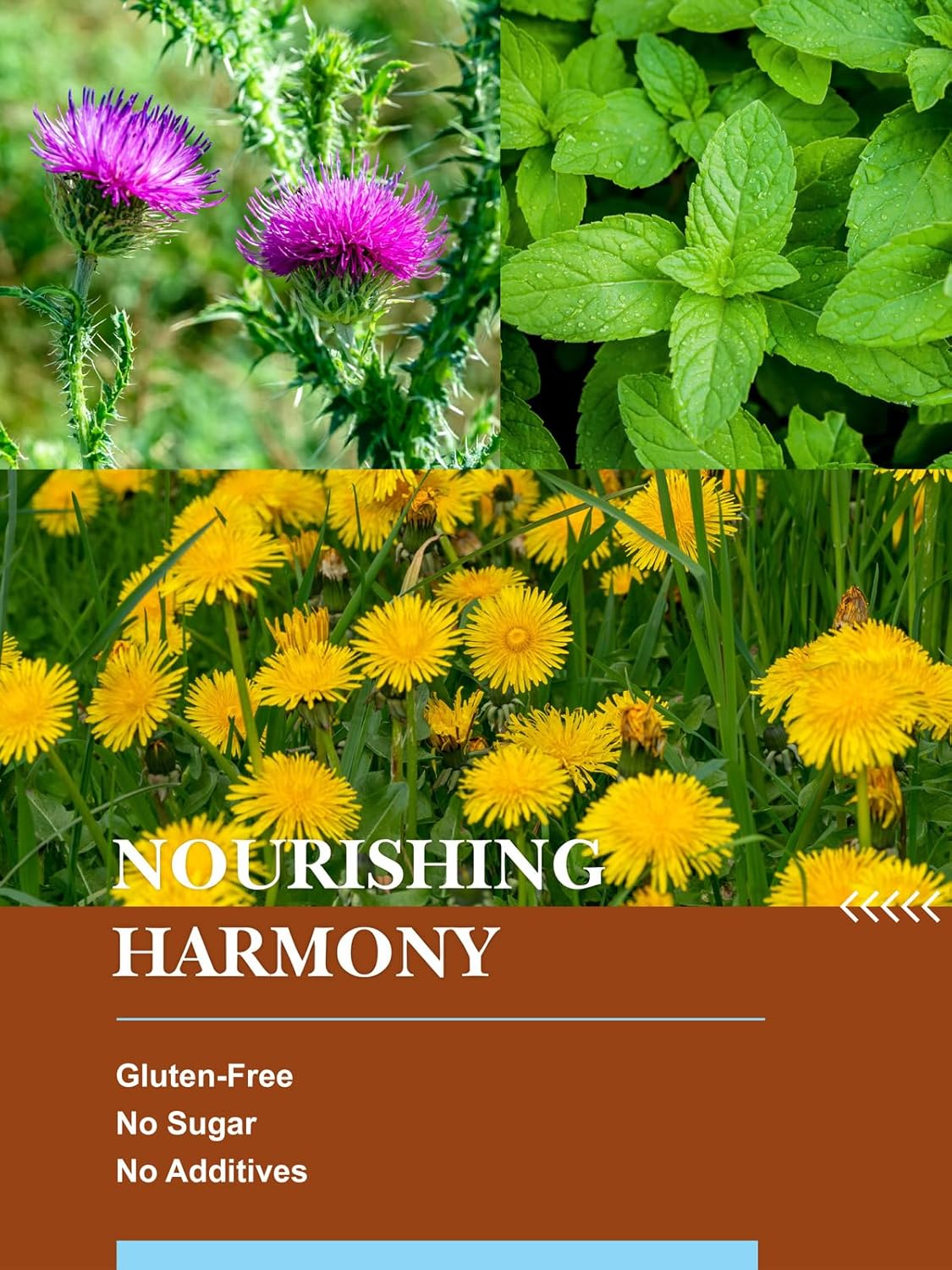 HYNTMYT Roasted Dandelion Root with Milk Thistle & Peppermint Tea Bags, Wellness, Refreshing Mint Flavor Dandelion tea, 100 Count