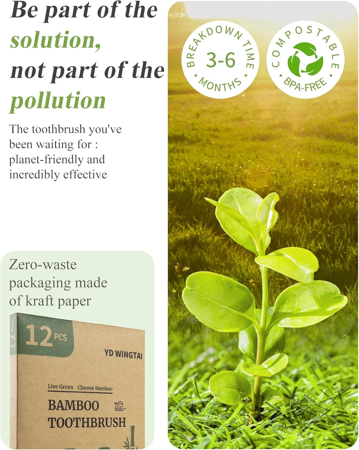 Bamboo Toothbrushes 12pack Disposable Tooth Brush Natural Toothbrush Travel Wooden Bristle Organic for Adults Set