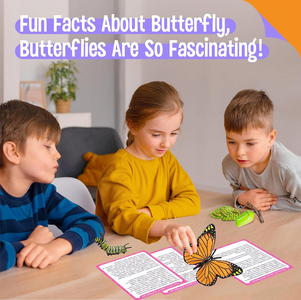 15 Butterfly Life Circle Flashcards with 4 Plastic Figurines, Butterflies Introduction Cards Plastic Insects Egg to Butterfly Kit Toy for Kids, Adults, Animal Lovers