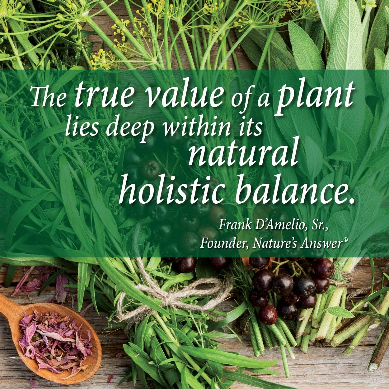 Nature's Answer Periobrite Toothpaste, Cool Mint, 4 Ounce, 3 Count Nature's Answer Periobrite Toothpaste, Cool Mint, 4 Ounce