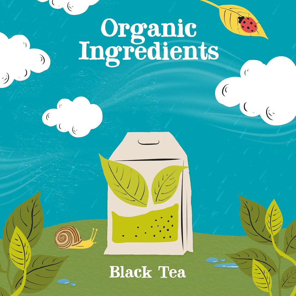 Clipper Tea, Organic Fairtrade Everyday, Organic, USDA Non-GMO, Fair Trade, Sustainable Caffeinated Tea, 1 Pack, 80 Unbleached Tea Bags