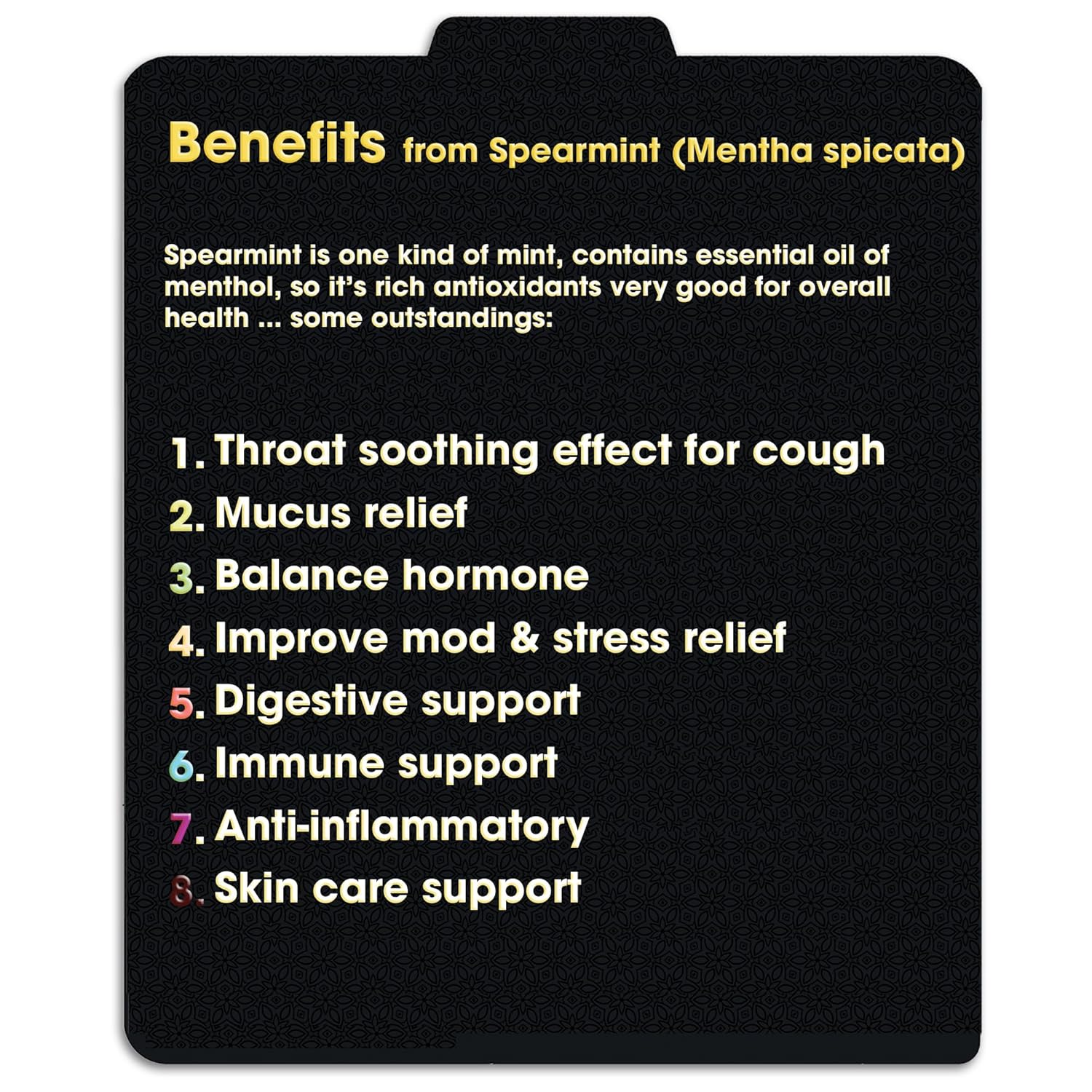 TFATHER Spearmint Tea Bags Pyramid with String - Sweet & Delicate of Menthol - Throat Soothing for Cough & Mucus Relief, Stress Relief, Digestion & Immune Support - Premium Spearmint Leaves