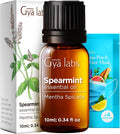 Gya Labs Spearmint Essential Oil - 0.34 Fl Oz - for Hair, Skin, Diffuser, Aromatherapy & DIY Candle Making Scent