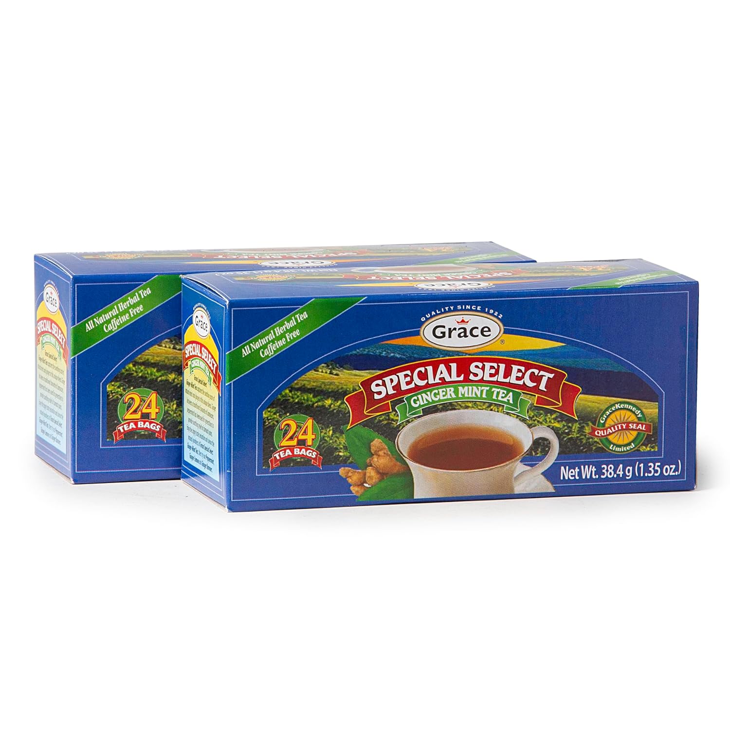 Grace Special Select Ginger & Mint Tea Bags 1.34oz - 2 Pack - All Natural Herbal Tea & Caffeine Free - Herbal Tea Bags - 48 Count
