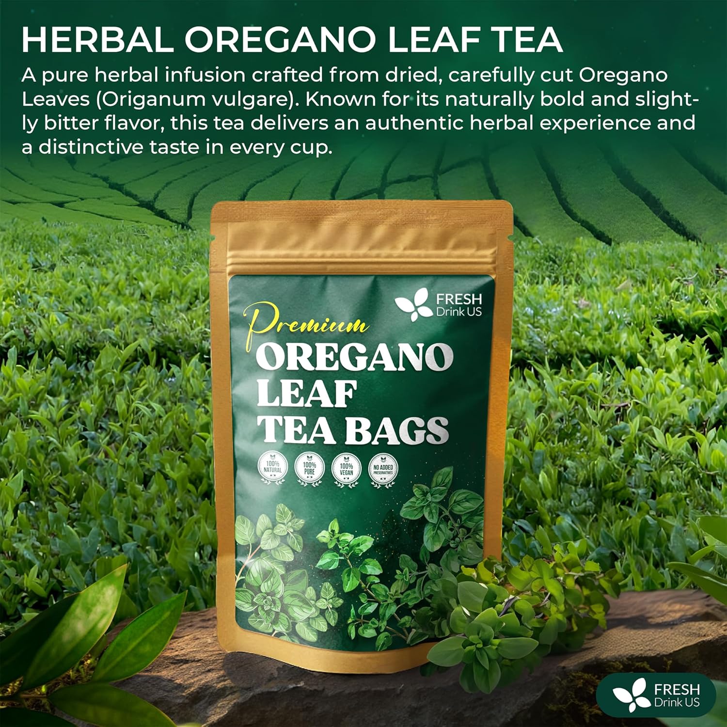 FreshDrinkUS, Oregano Leaf Tea | 75 Tea Bags – Pure Herbal Infusion from Origanum vulgare - Naturally Bold & Aromatic Flavor - Premium Quality, Sustainably Sourced. Vegan