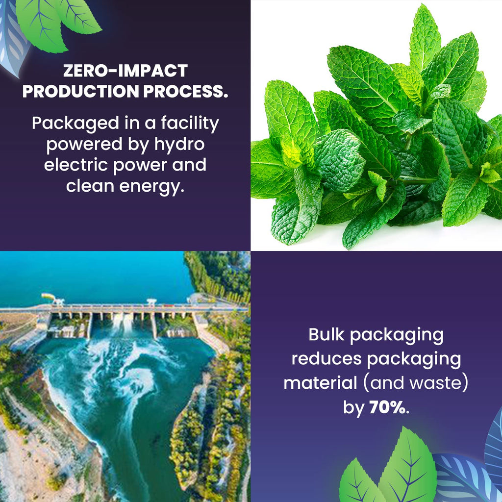 Organic Spearmint Herbal Tea — 100 Tea Bags | Grown in USA | Eco-Friendly Tea Bags | Non-GMO Caffeine Free Tea | Cederberg Tea Company