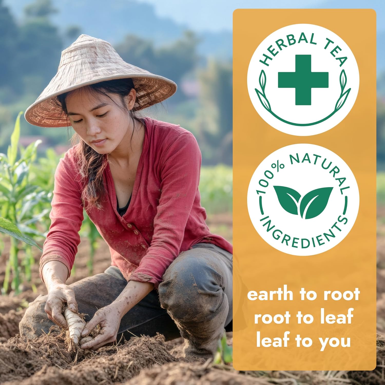 Vital Bloom 120 ct Ginger Tea Bags, Blend With Peppermint, Licorice, Lemongrass and Black Pepper, 100% Natural Ingredients, Bleach Free Tea Bags, Caffeine Free (Free Bamboo Tongs Included)