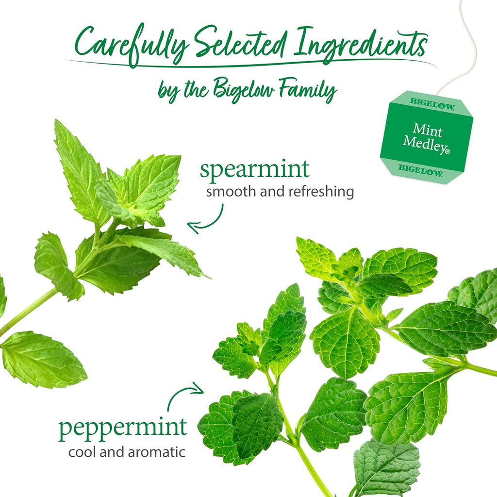 Bigelow Tea Mint Medley Herbal Tea, Caffeine Free Mint Tea with Spearmint and Peppermint, 20 Count Box (Pack of 6), 120 Total Tea Bags