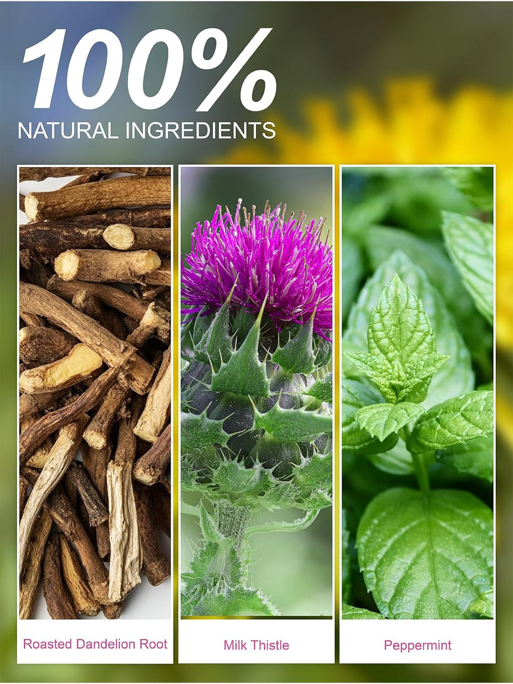 TeeLux Roasted Dandelion Root Tea with Milk Thistle & Peppermint, Smooth & Refreshing Flavor, Caffeine Free, 50 Count