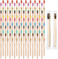 120PCS Bamboo Toothbrushes, Prepasted Disposable Toothbrush, Bulk Soft Bristle Toothbrushes for AdultsTravel Family Hotel Use and Homeless Gift, Individually Wrapped, 12 Color