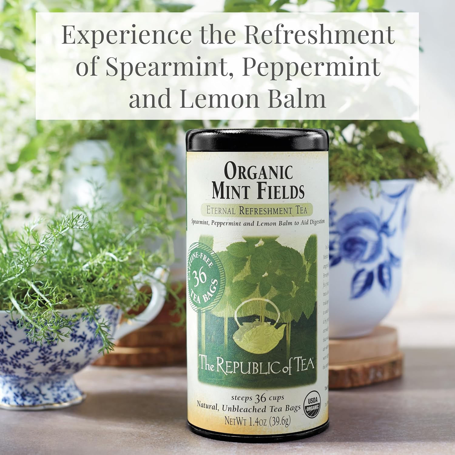 The Republic of Tea – Organic Mint Fields Herbal Tea Bags, Caffeine Free, 250 Servings