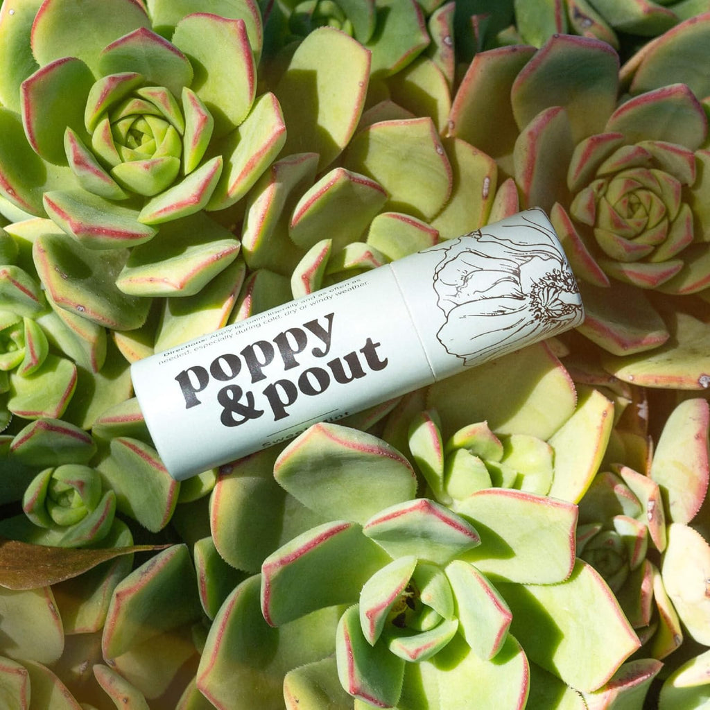 Poppy & Pout Sweet Mint A Jumbo Lip Balm | All Natural Lip Balms & Moisturizers | Hydrates with Beeswax, Vitamin E, Organic Coconut Oil | Cruelty-Free | Lip Balm in Recyclable Cardboard Tube
