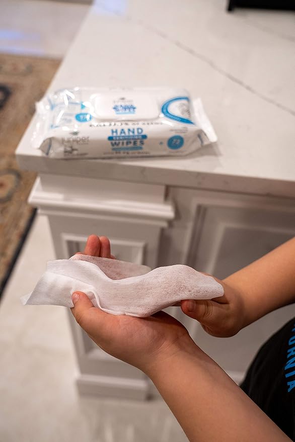 Hand Sanitizing Wipes, 432 Count Soft Flow (Pack of 6)